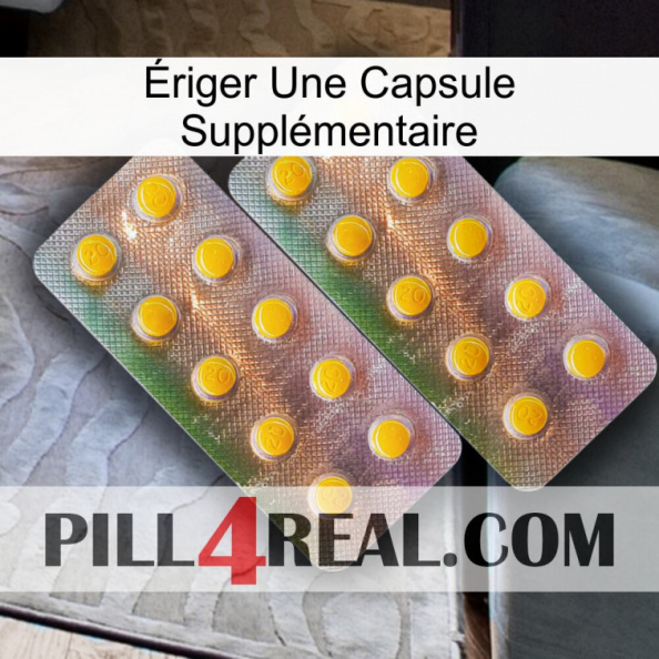 Ériger Une Capsule Supplémentaire new10.jpg